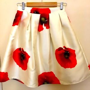 Chicwich full skirt.